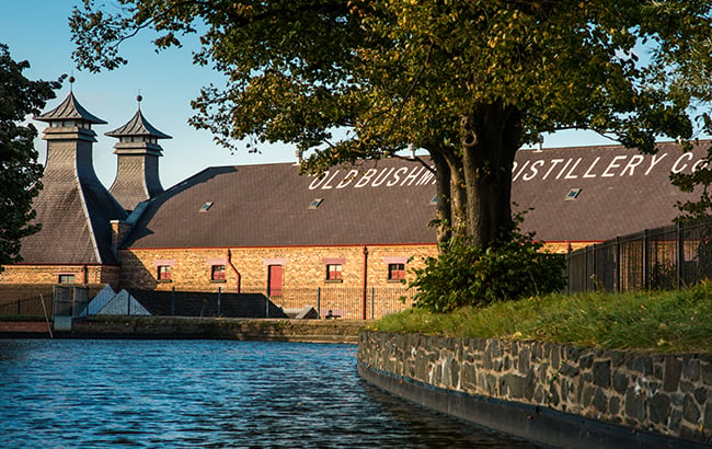 Bushmills-distillery