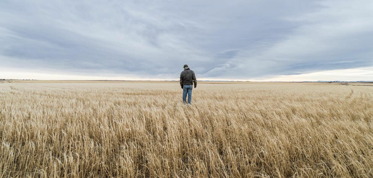 Sustainability in farming barley